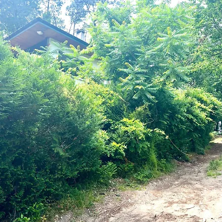 Folk Bed & Breakfast Vielle-Saint-Girons